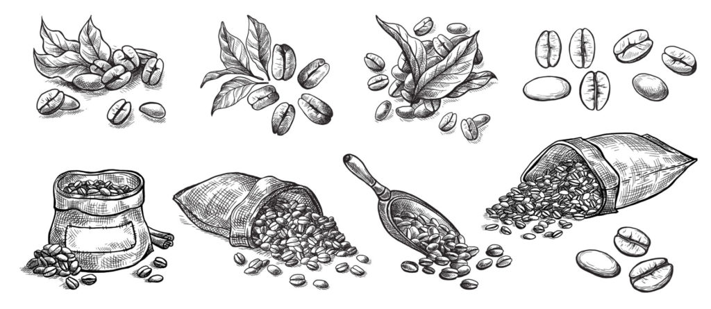 The image illustrates how many coffee beans per cup you need for your daily coffee cups.