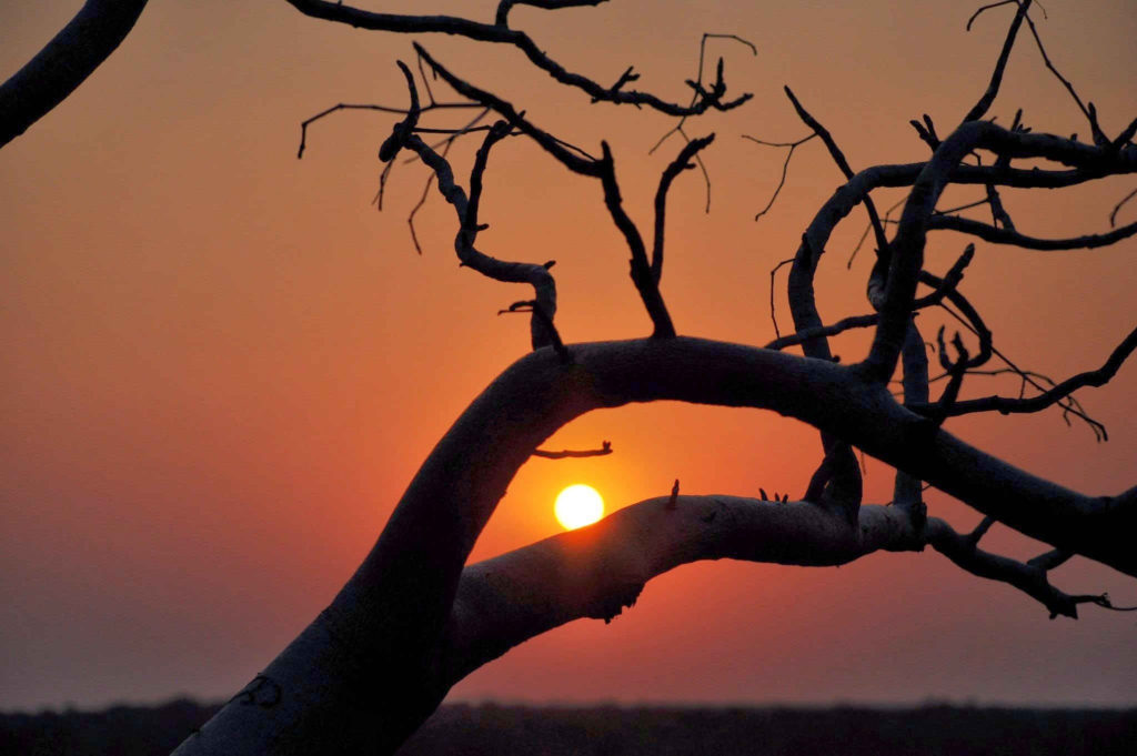 Image of the sun going down in Africa, to illustrate that this article is about coffee from Africa.