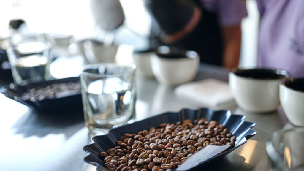 Image of the cupping process to decide the specialty coffee grade. Read more in the post about Honduras coffee