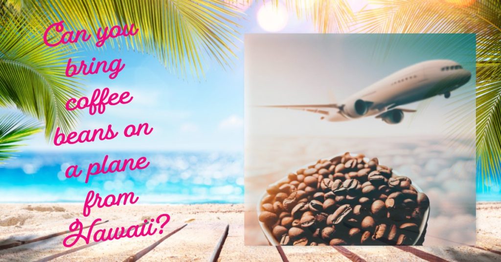 A plain, a beach, the sun and the text: can you bring coffee beans on a plane from Hawaii?