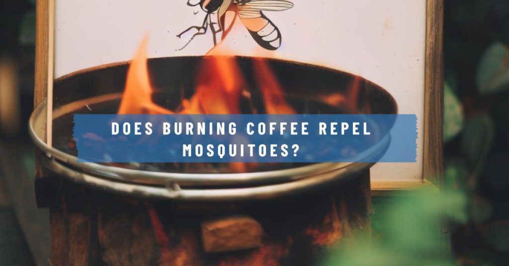 A mosquitoe escaping the flames from a fire and the text "Does burning coffee repel mosquitoes"