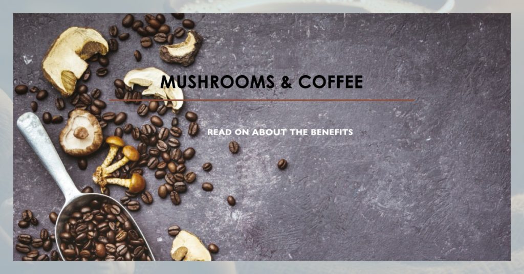 Mushroom coffee can be good for you. Here illustrated with coffee beans next to different mushrooms.