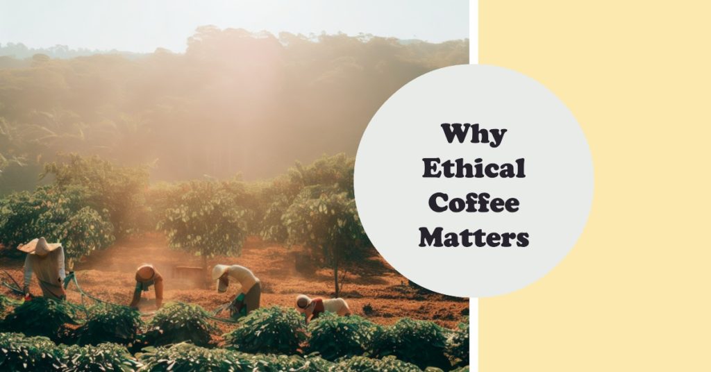 Featured image for the post why Why Ethical Coffee Matters. Showing farmers on a coffee plantation under the hard sun