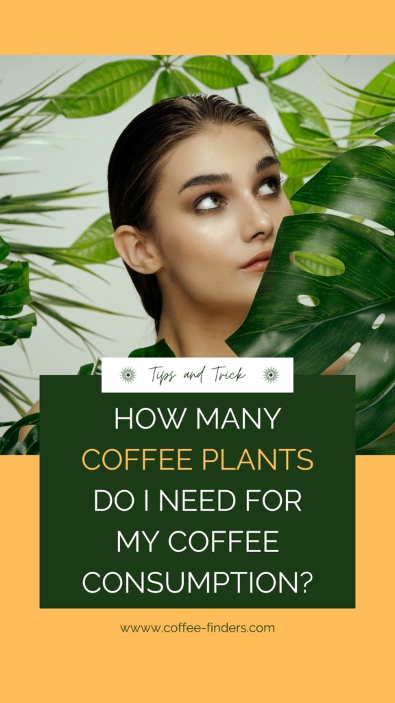 How many coffee plants do I need for my coffee consumption? Image showing a woman hiding in some plants.