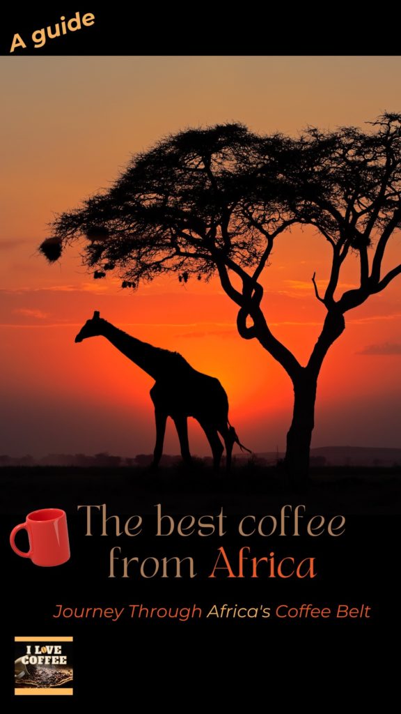 A sunset in Africa with a Giraffe under a tree and the text "The best coffee from Africa"