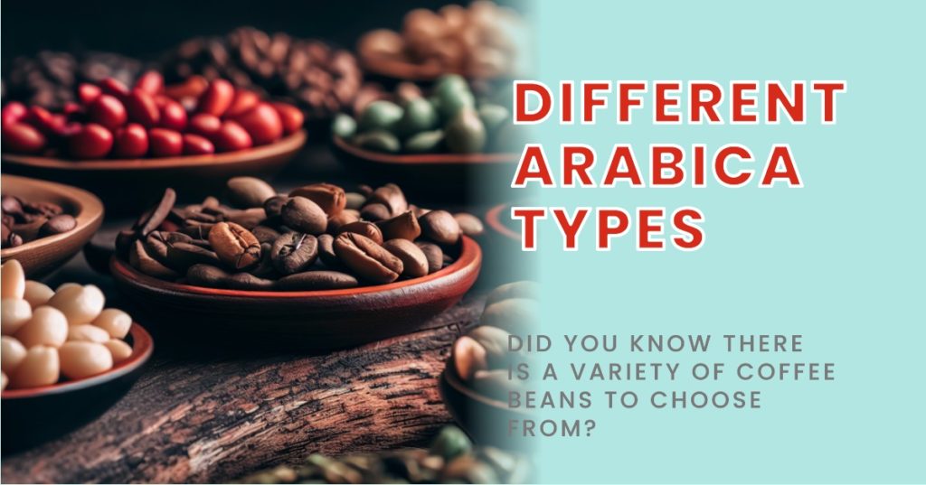 Featured image for the post different Arabica types, showing different coffee beans and the title to the right