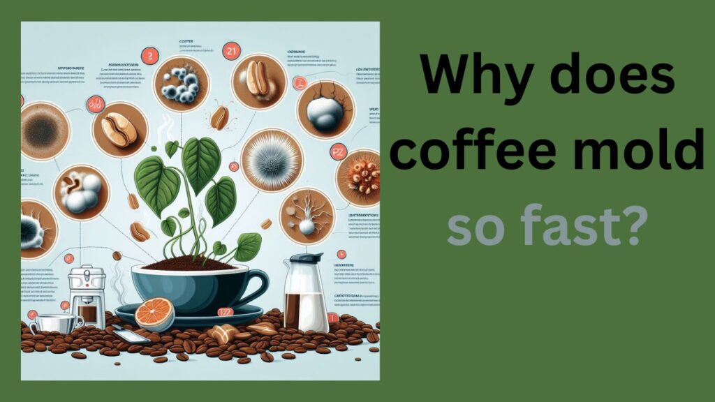 Featured image for the post "Why does coffee mold so fast" showing a illustration of different things affecting the coffee